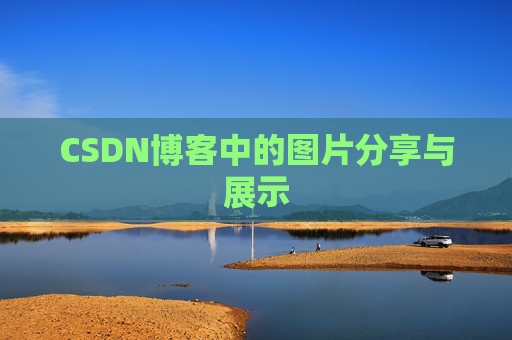 CSDN博客中的图片分享与展示